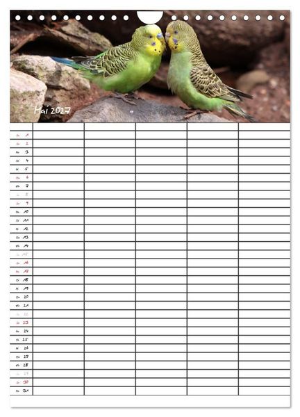 Produktbild: Wellensittiche (Wandkalender 2027 DIN A4 hoch), CALVENDO Monatskalender
