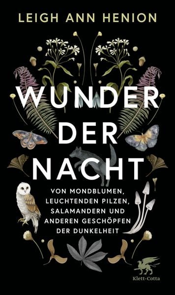 Produktbild: Wunder der Nacht