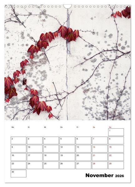 Produktbild: Mauerbl&uuml;mchen - Poesie im Allt&auml;glichen als Monatsplaner (Wandkalender 2026 DIN A3 hoch), CALVENDO Monatskalender
