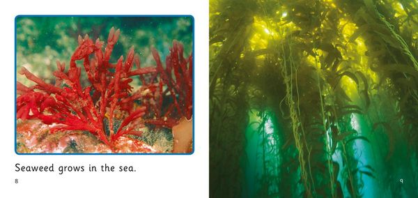 Produktbild: In the Sea