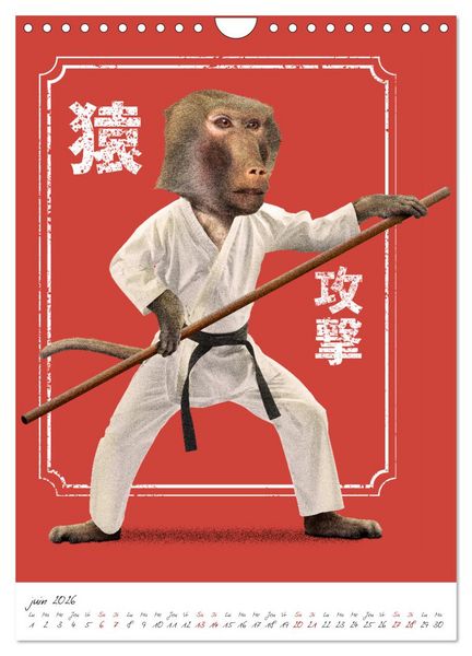 Produktbild: Combattant animal (Calendrier mural 2026 DIN A4 horizontal), CALVENDO calendrier mensuel