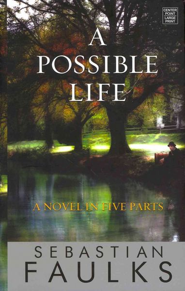 Produktbild: Possible Life -Lp