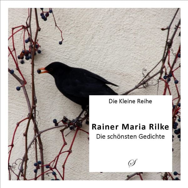 Produktbild: Die Kleine Reihe Bd. 1: Rainer Maria Rilke