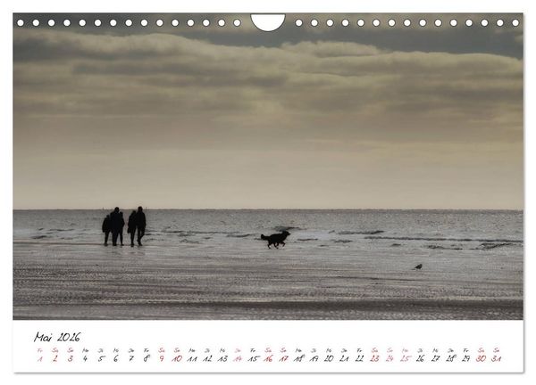 Produktbild: Naturpark Wattenmeer und Helgoland (Wandkalender 2026 DIN A4 quer), CALVENDO Monatskalender