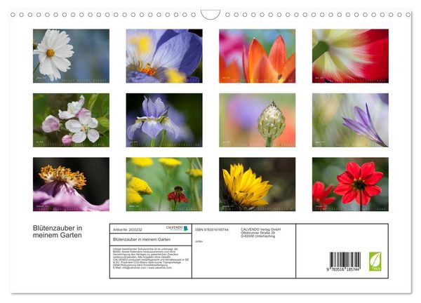 Produktbild: Bl&uuml;tenzauber in meinem Garten (Wandkalender 2026 DIN A3 quer), CALVENDO Monatskalender