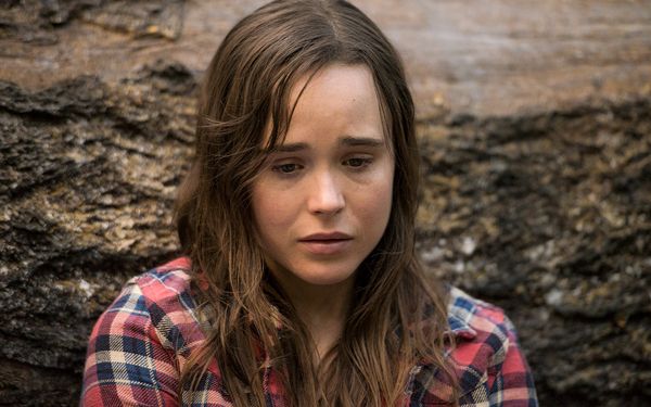 Produktbild: Into the Forest