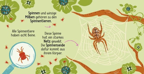 Produktbild: 50 W&ouml;rter &uuml;ber die Natur - Insekten