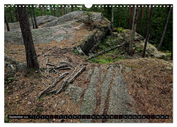 Produktbild: Tiveden, der NatURWALD in Schweden (Wandkalender 2026 DIN A3 quer), CALVENDO Monatskalender