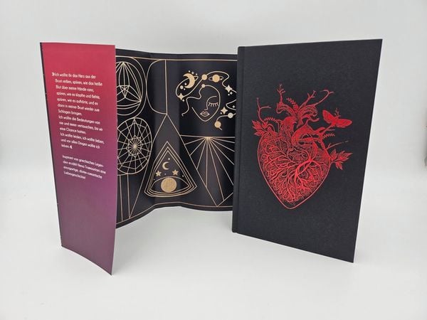 Produktbild: Twelve of Nights – Das gestohlene Herz