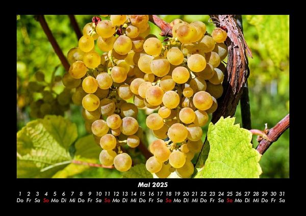 Produktbild: Obstkalender 2025 Fotokalender DIN A3