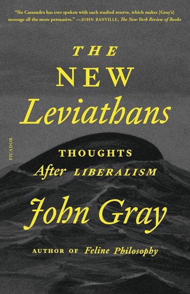 Produktbild: The New Leviathans