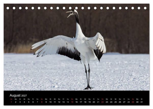 Produktbild: Mandschurenkraniche (Tischkalender 2027 DIN A5 quer), CALVENDO Monatskalender