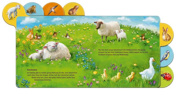 Produktbild: Was machen die Tiere im Fr&uuml;hling?