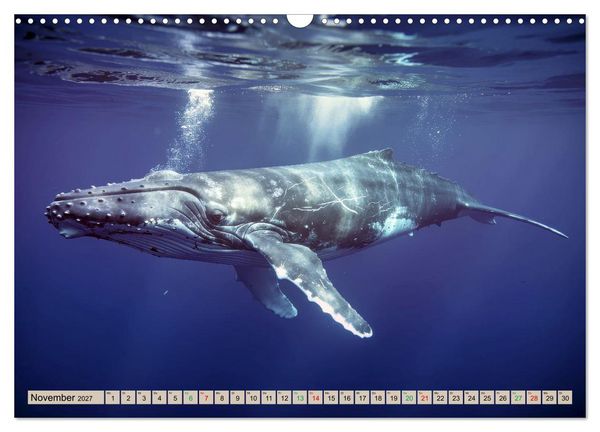 Produktbild: Gro&szlig;tiere - Weltweit (Wandkalender 2027 DIN A3 quer), CALVENDO Monatskalender