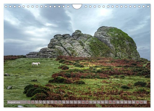Produktbild: Dartmoor, herbe Sch&ouml;nheit im S&uuml;den Englands (Wandkalender 2026 DIN A4 quer), CALVENDO Monatskalender