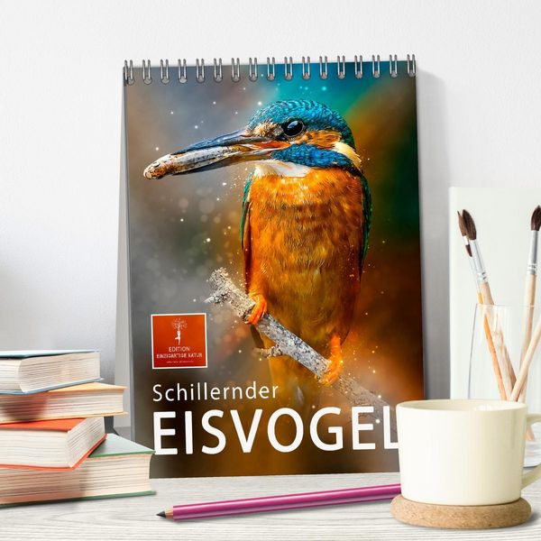 Produktbild: Schillernder Eisvogel (Tischkalender 2026 DIN A5 hoch), CALVENDO Monatskalender