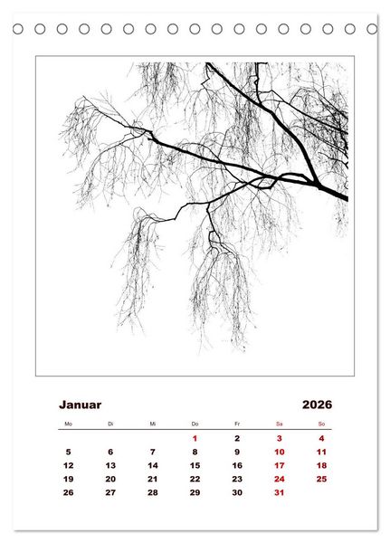 Produktbild: LignoGrafica - Muster und Strukturen der B&auml;ume (Tischkalender 2026 DIN A5 hoch), CALVENDO Monatskalender