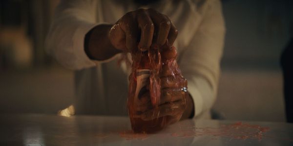 Produktbild: Kombucha - Die Zukunft beginnt hier
