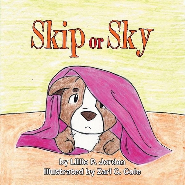 Produktbild: Skip or Sky
