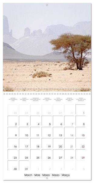 Produktbild: Desert - unknown exciting (Wall Calendar 2026 12 &times; 12 Inch) CALVENDO 12 Month Wall Calendar