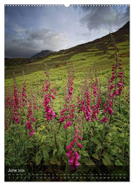 Produktbild: Beautiful Scotland / UK-Version (High Quality Premium Wall Calendar 2026 DIN A2 portrait),CALVENDO 12 Month Wall Calendar