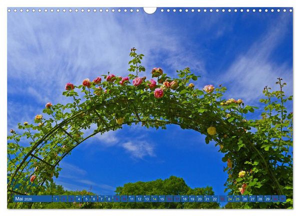 Produktbild: Rosengarten auf dem Beutig (Wandkalender 2026 DIN A3 quer), CALVENDO Monatskalender