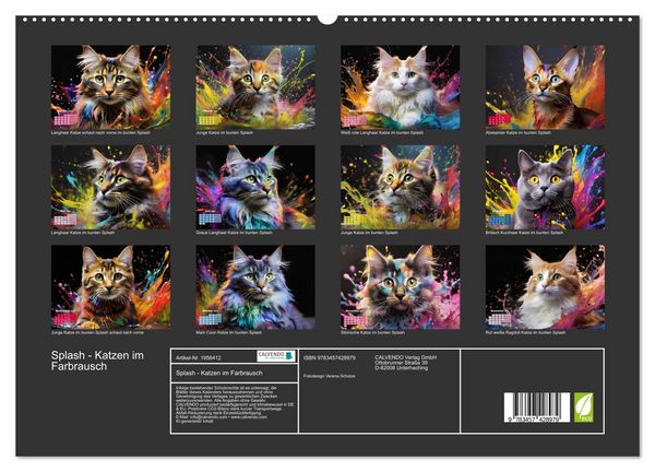 Produktbild: Splash - Katzen im Farbrausch (hochwertiger Premium Wandkalender 2026 DIN A2 quer), Kunstdruck in Hochglanz