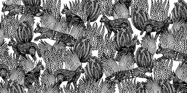 Produktbild: Millie Marotta's Wundervolles Tierreich &ndash; Die sch&ouml;nsten Ausmal-Abenteuer