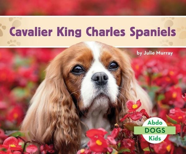 Produktbild: Cavalier King Charles Spaniels