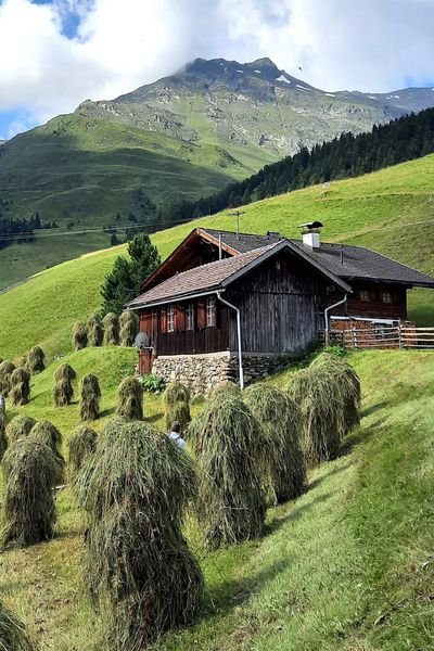 Produktbild: Alpine Vitalk&uuml;che