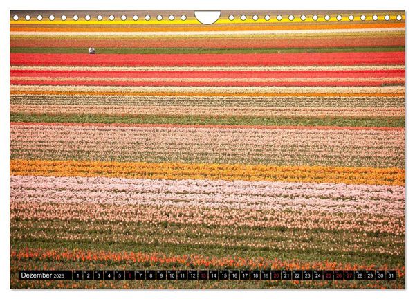 Produktbild: Tulpen (Wandkalender 2026 DIN A4 quer), CALVENDO Monatskalender