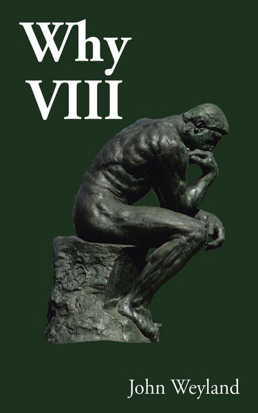 Produktbild: Why Viii