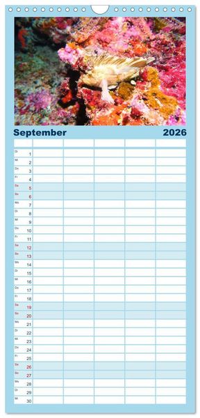 Produktbild: Familienplaner 2026 - Geheimnisvolle Welt unter Wasser - Nachts am Riff mit 5 Spalten (Wandkalender, 21 x 45 cm) CALVENDO