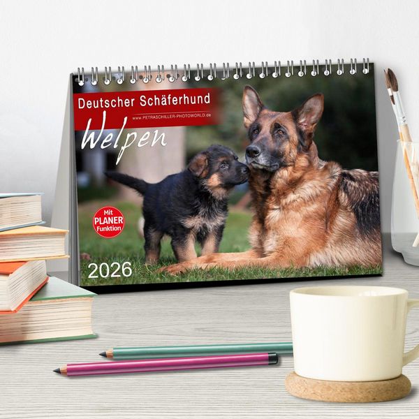 Produktbild: Deutscher Sch&auml;ferhund - Welpen (Tischkalender 2026 DIN A5 quer), CALVENDO Monatskalender