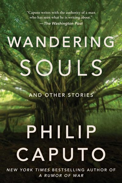 Produktbild: Wandering Souls