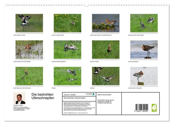 Produktbild: Die bedrohten Uferschnepfen (hochwertiger Premium Wandkalender 2026 DIN A2 quer), Kunstdruck in Hochglanz