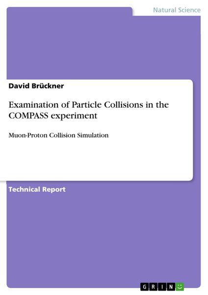 Produktbild: Examination of Particle Collisions in the COMPASS experiment