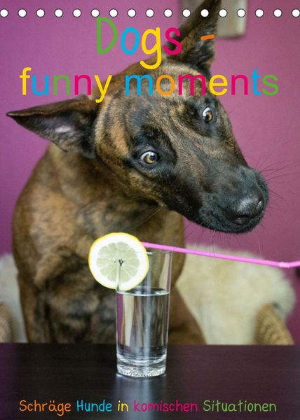 Dogs – funny moments Schräge Hunde in komischen Situationen (Tischkalender 2023 DIN A5 hoch)
