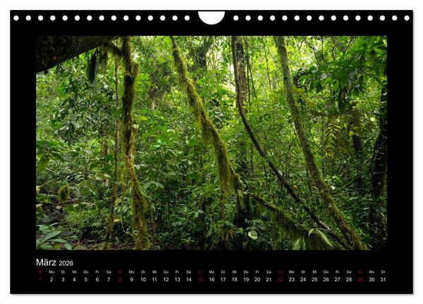 Produktbild: SUMATRA Abenteuer Regenwald (Wandkalender 2026 DIN A4 quer), CALVENDO Monatskalender