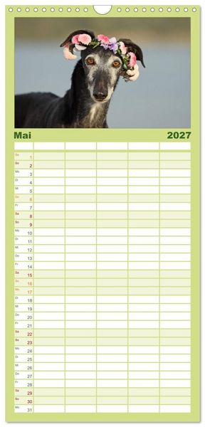 Produktbild: Familienplaner 2027 - Der Windhundekalender mit 5 Spalten (Wandkalender, 21 x 45 cm) CALVENDO