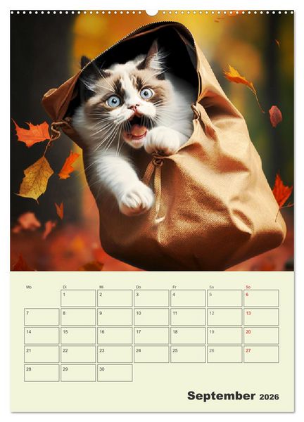 Produktbild: Jetzt ist die Katze aus dem Sack! Katzenspa&szlig; vom Feinsten! (Wandkalender 2026 DIN A2 hoch), CALVENDO Monatskalender
