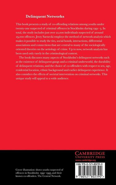 Produktbild: Delinquent Networks