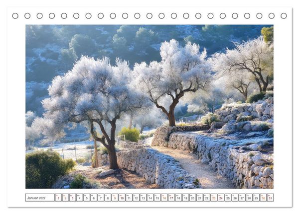 Produktbild: Die Magie der Olivenhaine (Tischkalender 2027 DIN A5 quer), CALVENDO Monatskalender