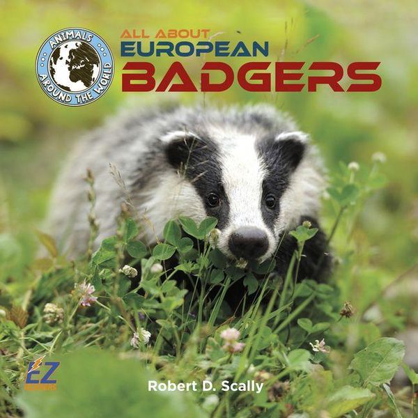 Produktbild: All about European Badgers