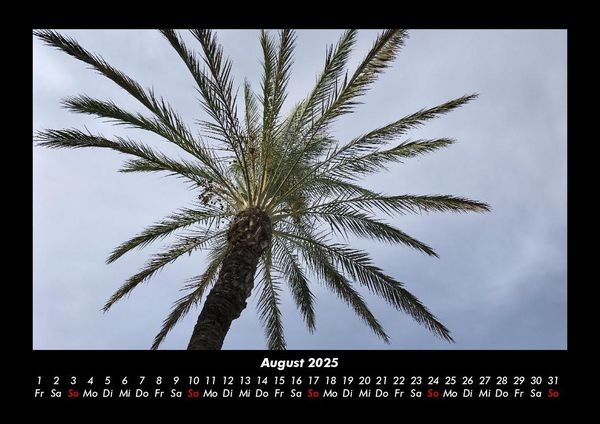Produktbild: Palmentraum 2025 Fotokalender DIN A3