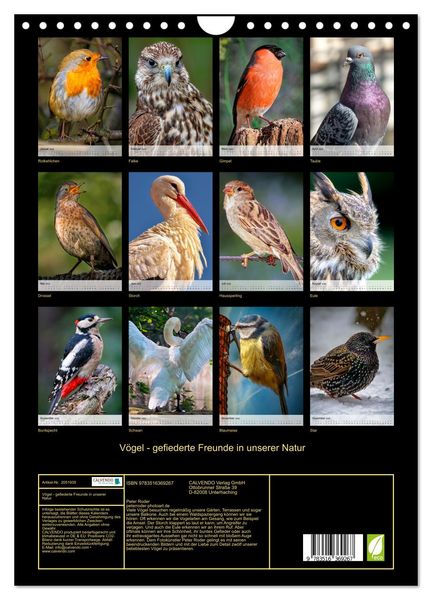 Produktbild: V&ouml;gel - gefiederte Freunde in unserer Natur (Wandkalender 2026 DIN A4 hoch), CALVENDO Monatskalender