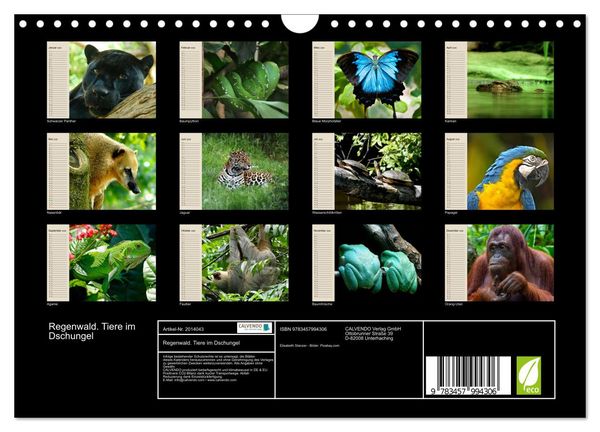 Produktbild: Regenwald. Tiere im Dschungel (Wandkalender 2026 DIN A4 quer), CALVENDO Monatskalender
