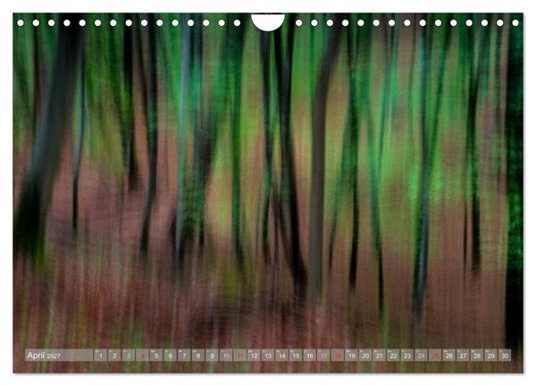 Produktbild: Atelier Wald - gemalt mit Licht (Wandkalender 2027 DIN A4 quer), CALVENDO Monatskalender