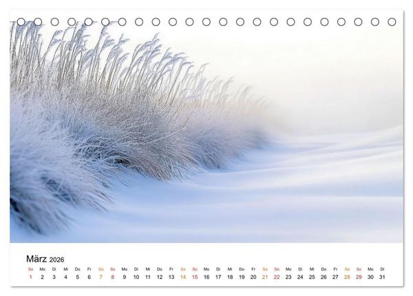 Produktbild: Winterzauber - Nordwind und Schneegest&ouml;ber (Tischkalender 2026 DIN A5 quer), CALVENDO Monatskalender