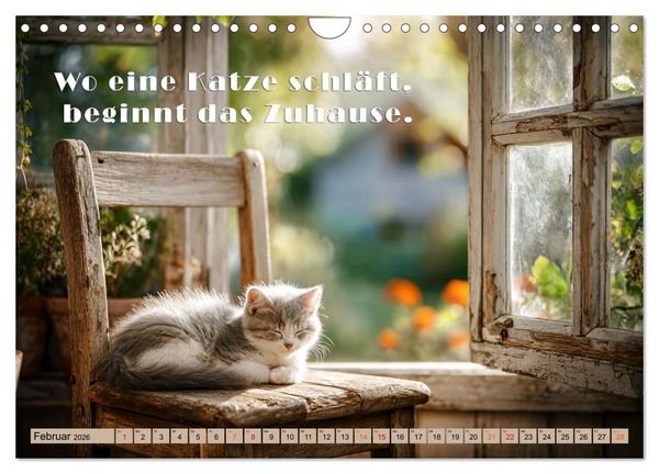 Produktbild: Miau-velous Pfotenpoesie (Wandkalender 2026 DIN A4 quer), CALVENDO Monatskalender